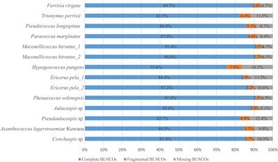 Taxon-specific ultraconserved element probe design for phylogenetic analyses of scale insects (Hemiptera: Sternorrhyncha: Coccoidea)